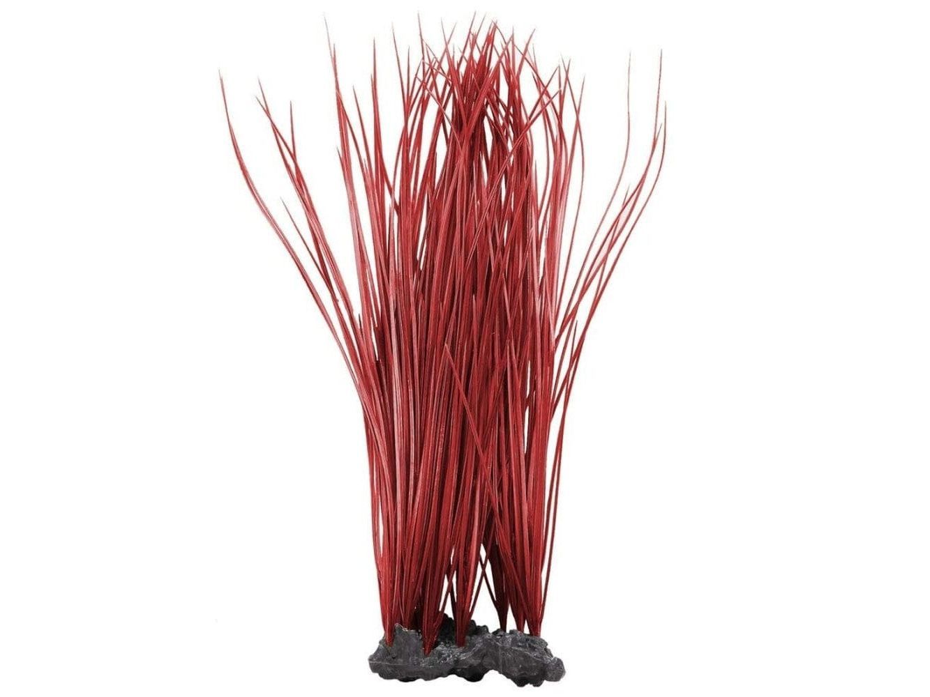 Aquatop Onion Grass Aquarium Plant Red 16 in Aquatic Decor Aquatop