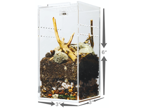 Herpcult Acrylic Enclosure Mini-Tall 3"x3"x6" Herpcult 