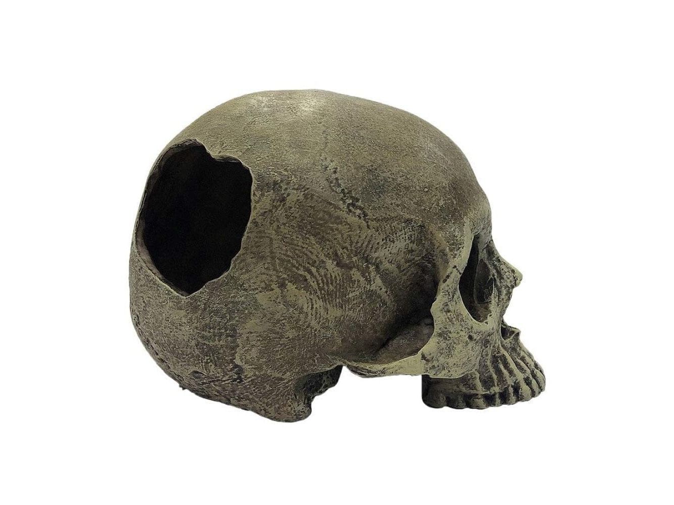 Komodo Half Human Skull Reptile Hideout Gray One Size Komodo