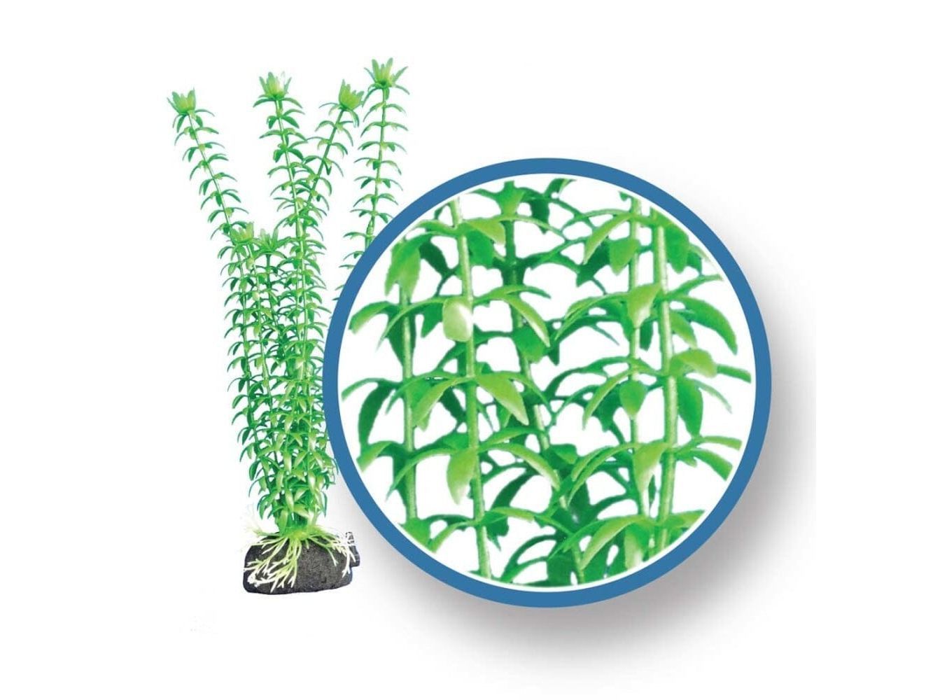 Weco Products Freshwater Pro Series Tonina Aquarium Plant Green, 1ea/18 in Aquatic Decor Weco