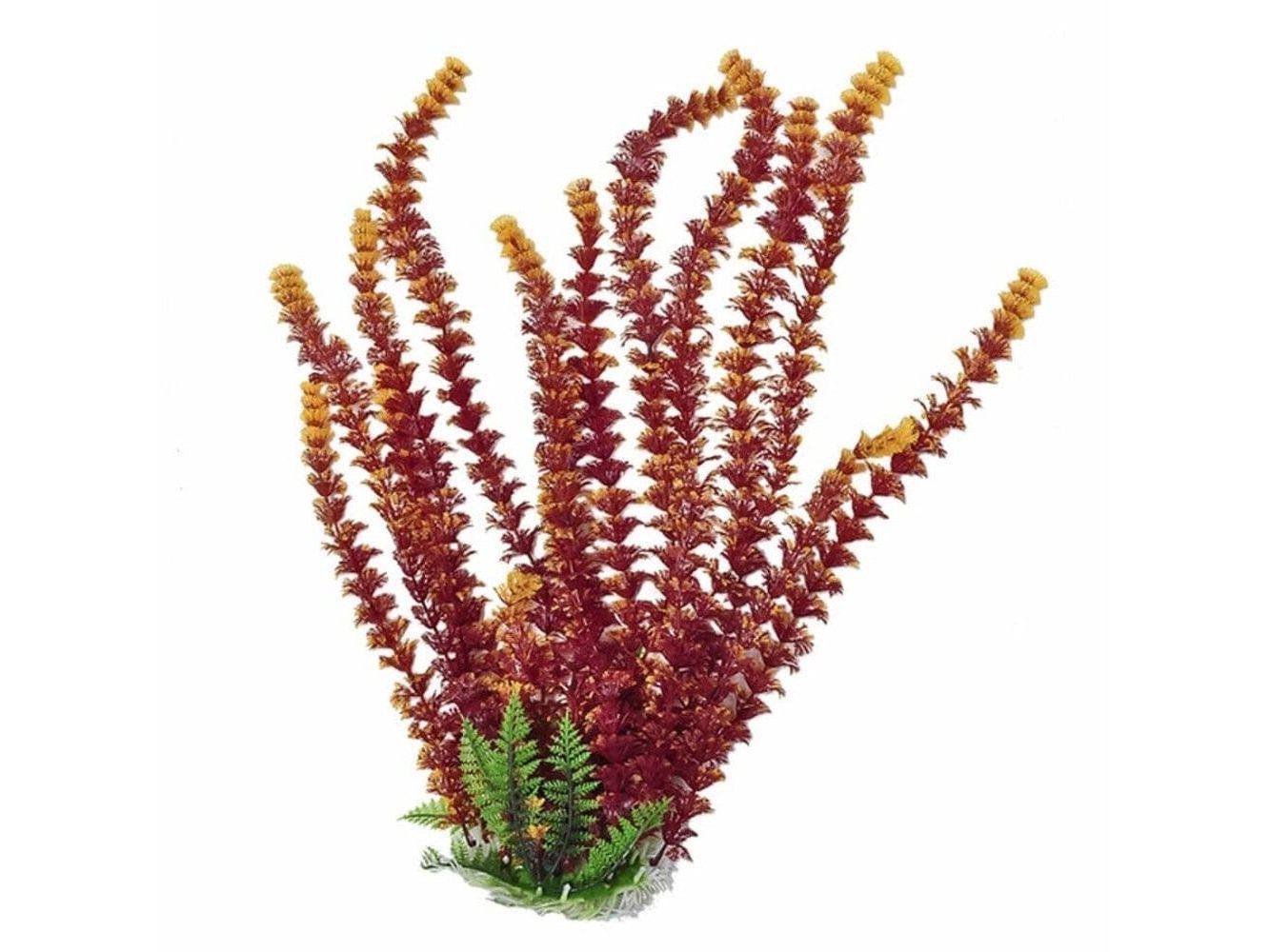 Aquatop Cabomba Aquarium Plant Aquatic Decor Aquatop