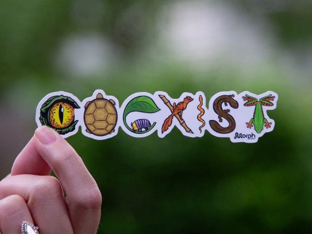 Coexist Sticker Color