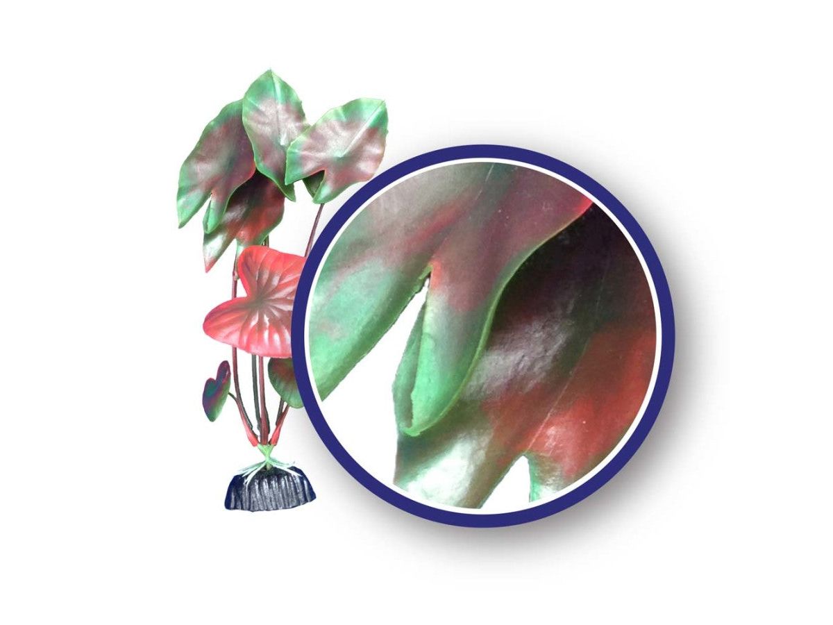 Weco Products Freshwater Series Tiger Lotus Aquarium Plant Red, 1ea/12 in