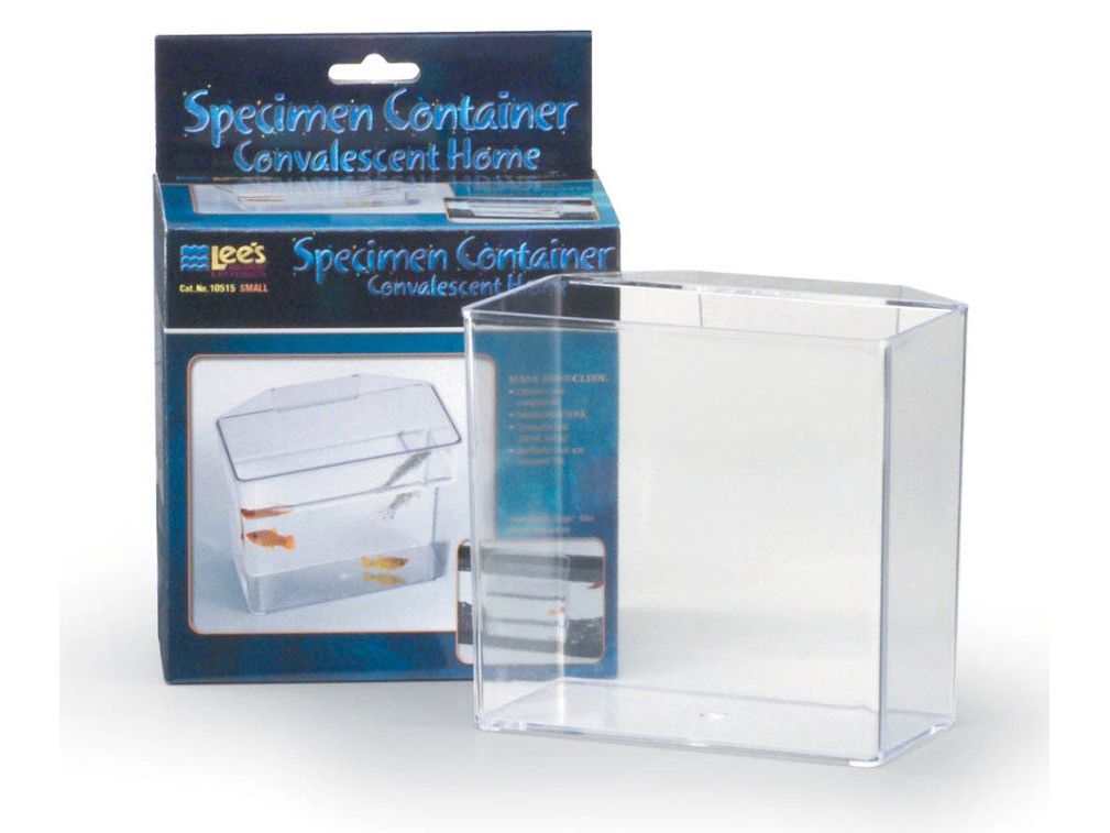 Lee's Specimen Container Aquatic Feeding & Breeding Lee's Aquarium 