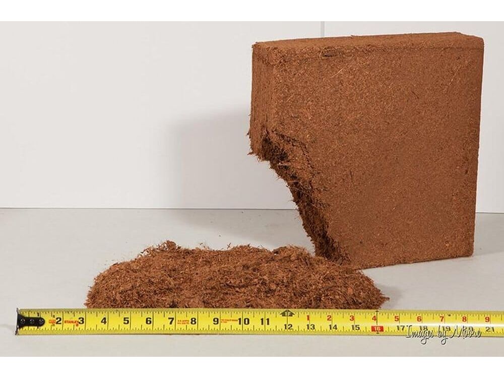 Premium Pet Bedding™ Soil supplies DubiaRoaches.com