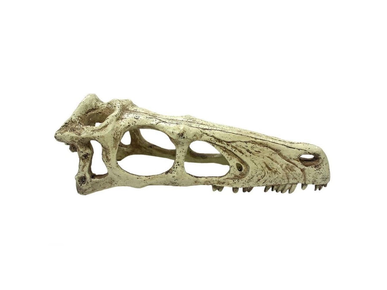 Komodo Raptor Skull Reptile Hideout Tan LG Komodo