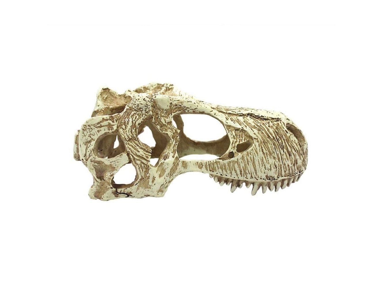 Komodo T-Rex Skull Reptile Hideout Tan LG Komodo
