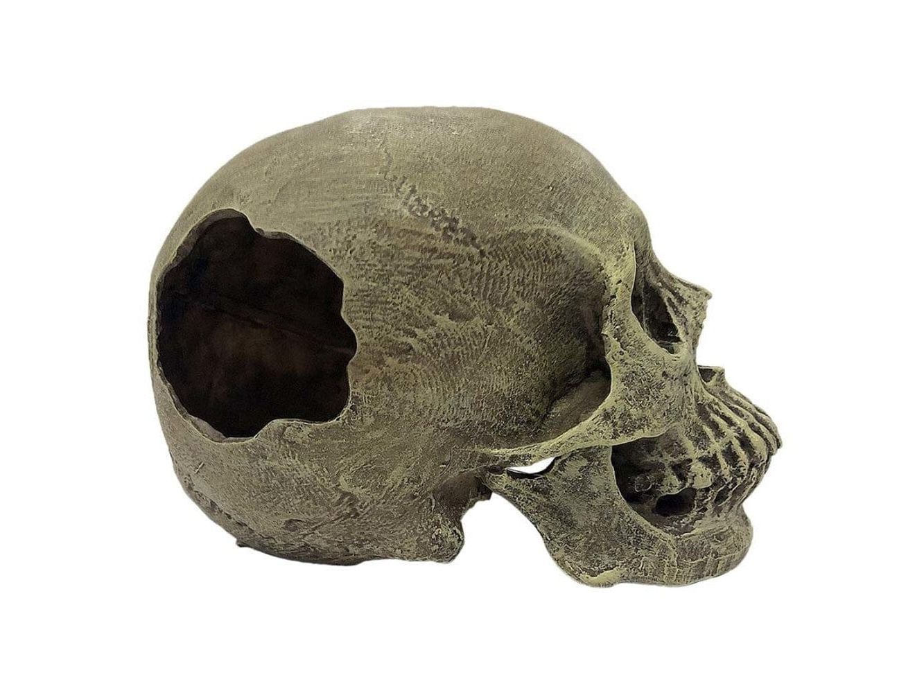 Komodo Full Human Skull Reptile Hideout Gray One Size Komodo