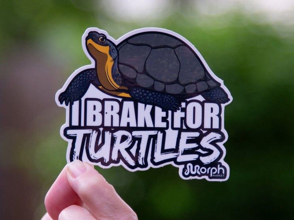 I Brake For Turtles Sticker