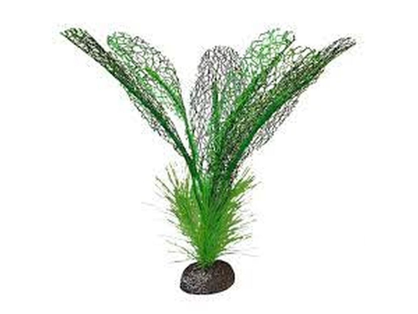 Fluval Betta Premium Plants, Madagascar Lace Plant Fish Supplies Fluval