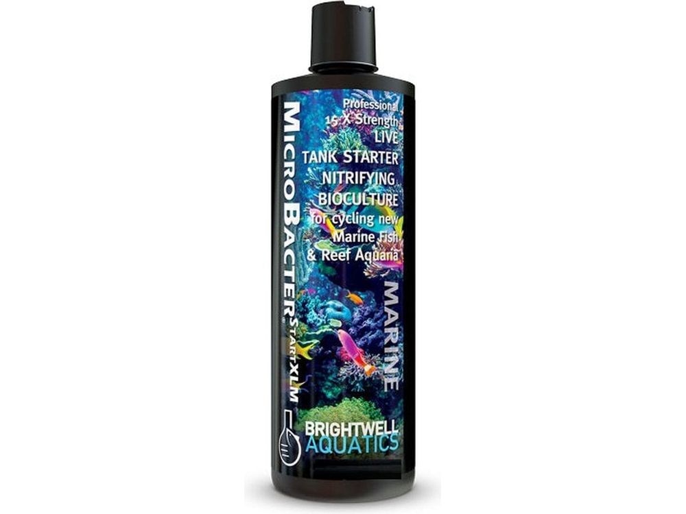 MicroBacter Start XLM - 125ml Brightwell Aquatics