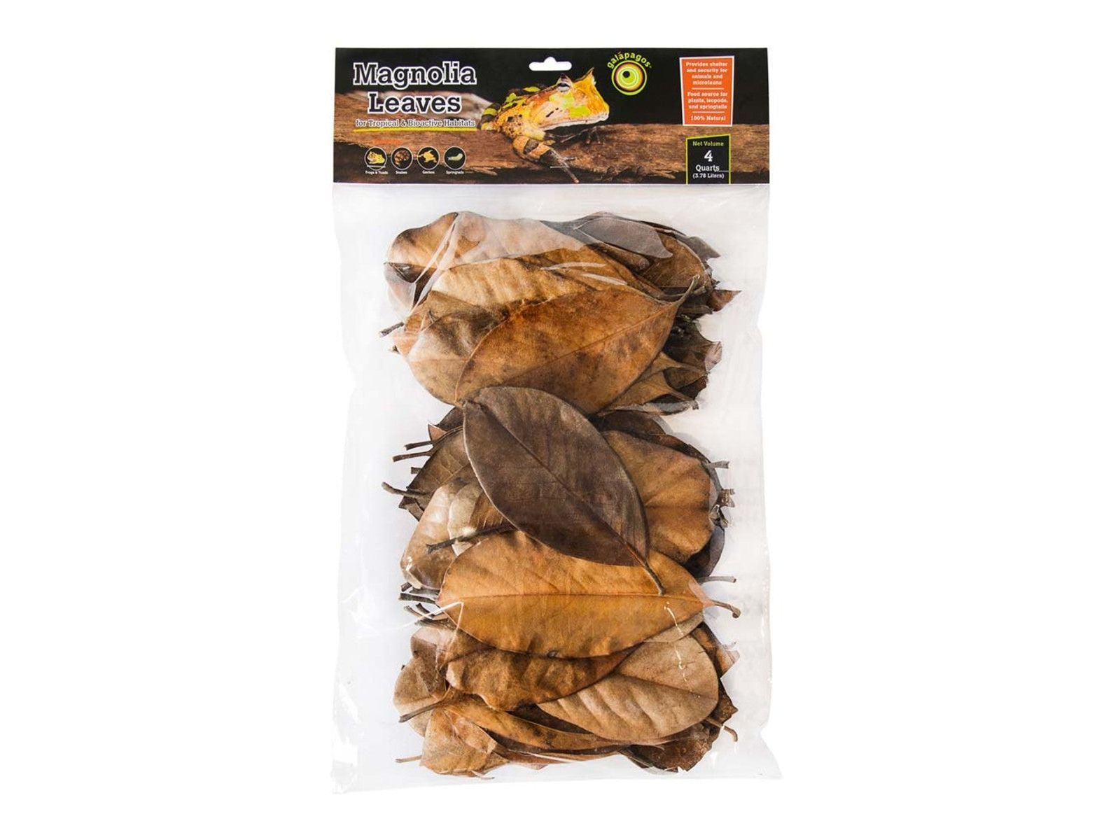 Galapagos Magnolia Leaves 4qt