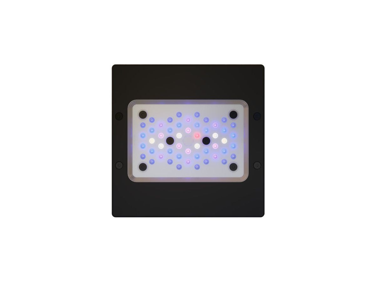 EcoTech Marine Radion XR15 G6 Blue LED Aquarium Light Fixture 1ea/95 W