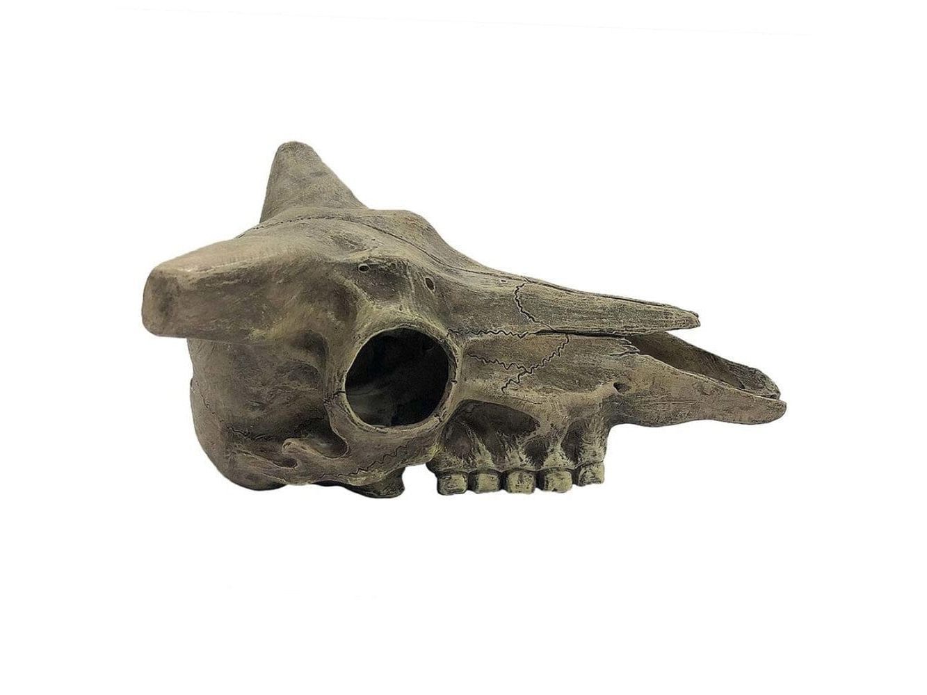 Komodo Deer Skull Reptile Hideout Gray One Size Komodo
