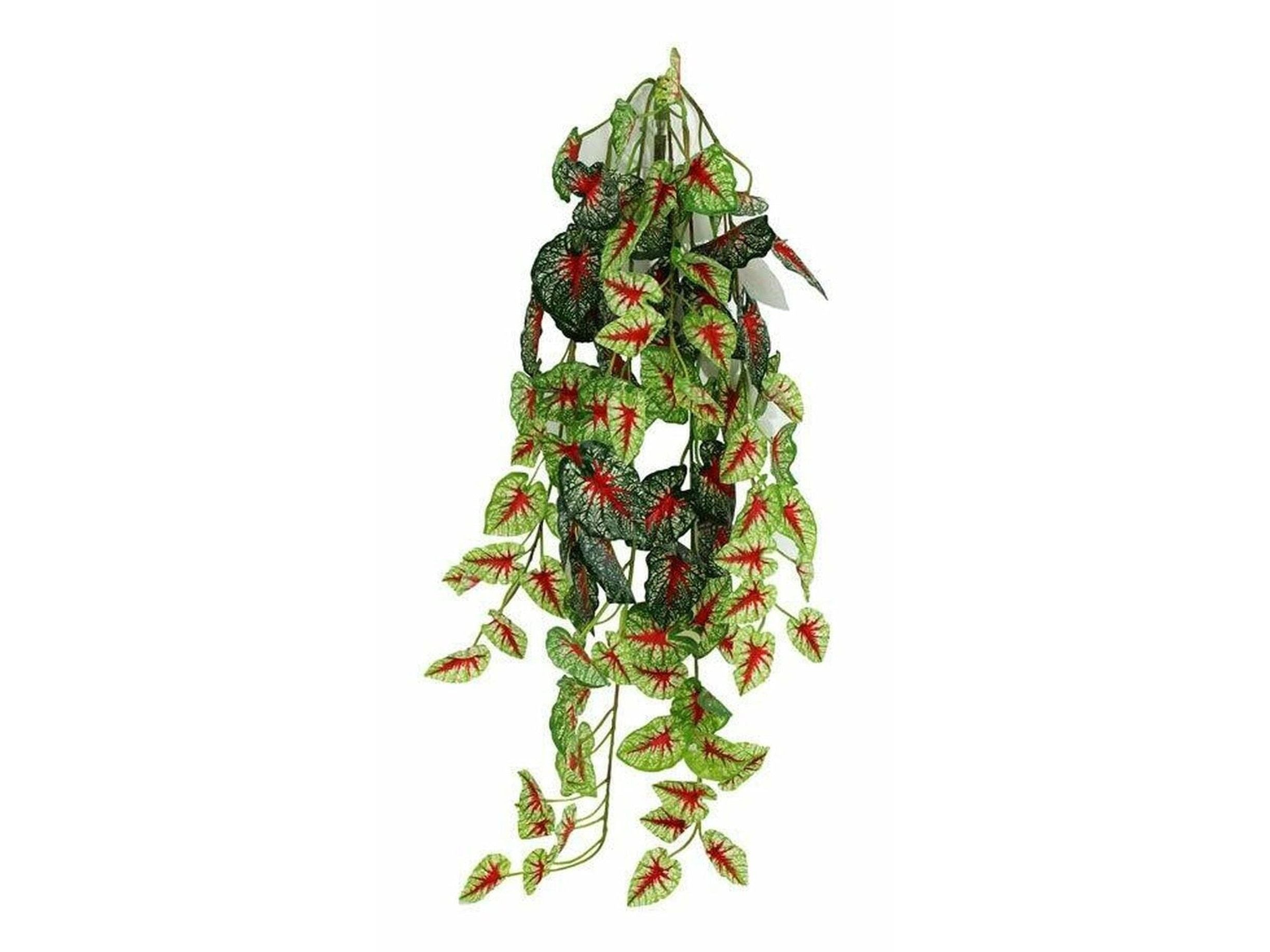 Pangea Hanging Bush Caladium (24inch) Animals & Pet Supplies Pangea