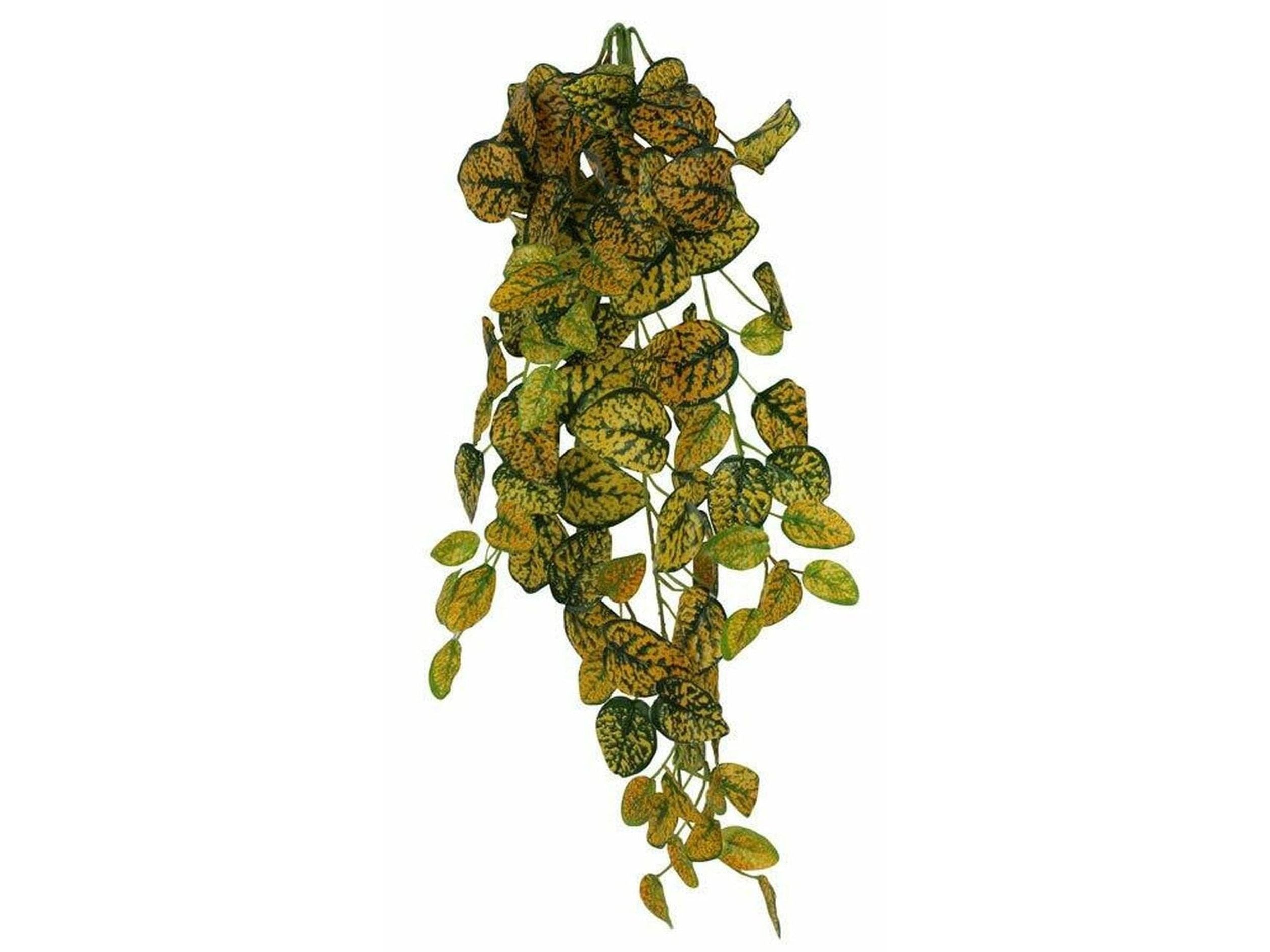 Pangea Leafy Vine Japanese Laurel (6ft) Animals & Pet Supplies Pangea