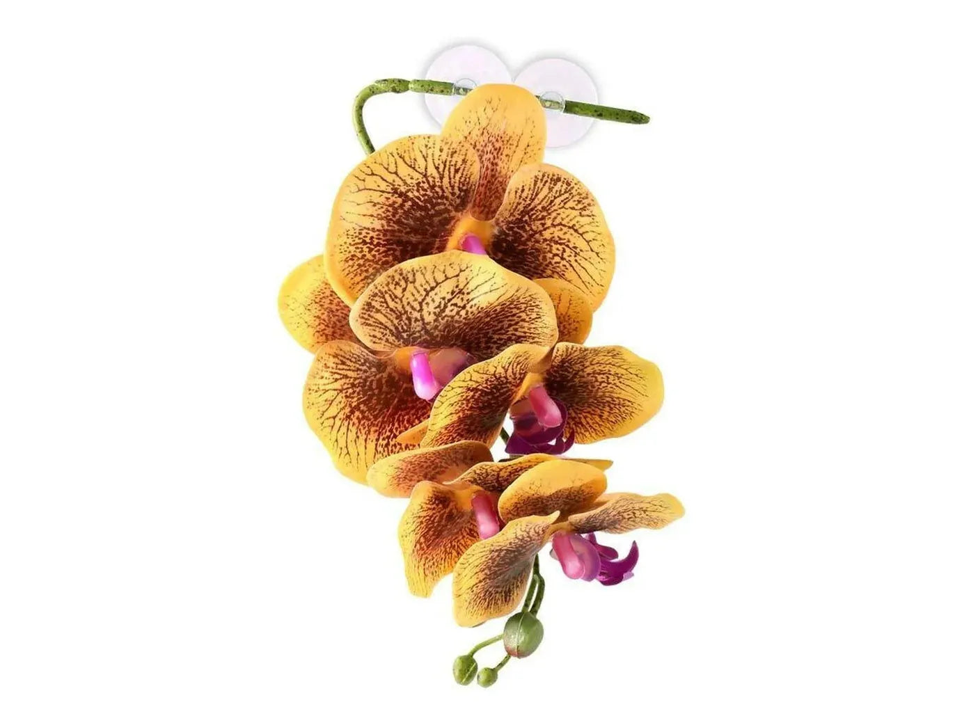 Pangea Hanging Orchid Yellow Animals & Pet Supplies Pangea