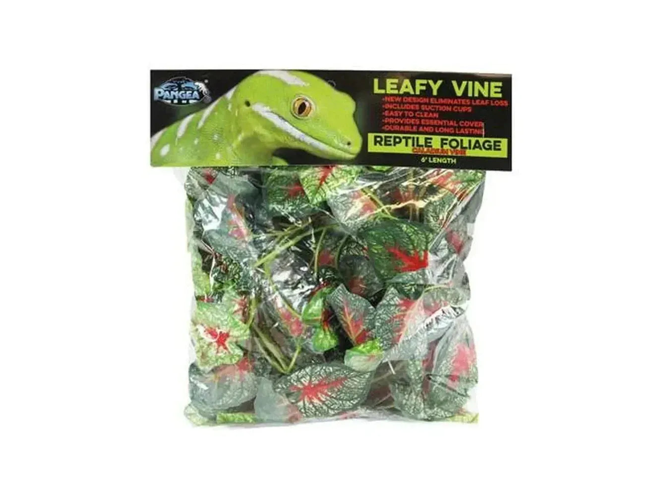 Pangea Leafy Vine Caladium (6ft) Animals & Pet Supplies Pangea