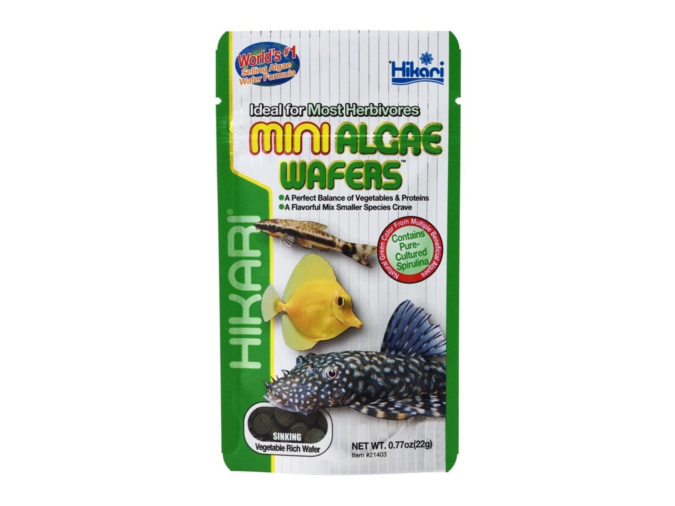 Hikari Mini Algae Wafers Sinking Wafer Fish Food 0.77 oz Aquatic Diet Hikari