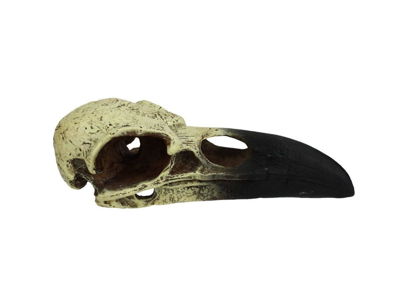 Komodo Raven Skull Hideout MED Komodo