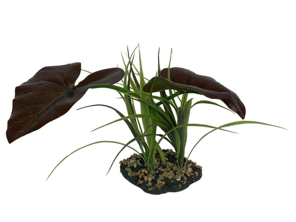 Komodo Rainforest Canopy Plant 1ea/10 in reptile supplies Komodo