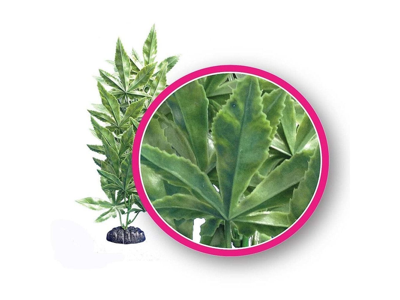 Weco Products Dream Series Hash Aquarium Plant Green, 1ea/9 in Aquatic Decor Weco