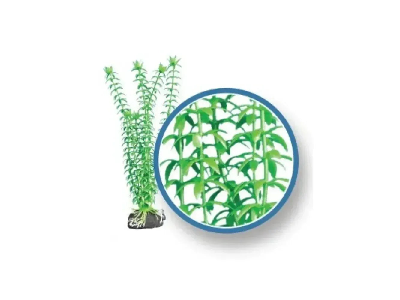 Weco Wonder Plant Freshwater Pro, Tonina 9" Fish Supplies Weco