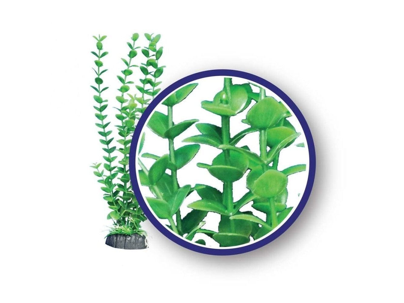Weco Products Freshwater Series Bacopa Aquarium Plant Green, 1ea/18 in Aquatic Decor Weco