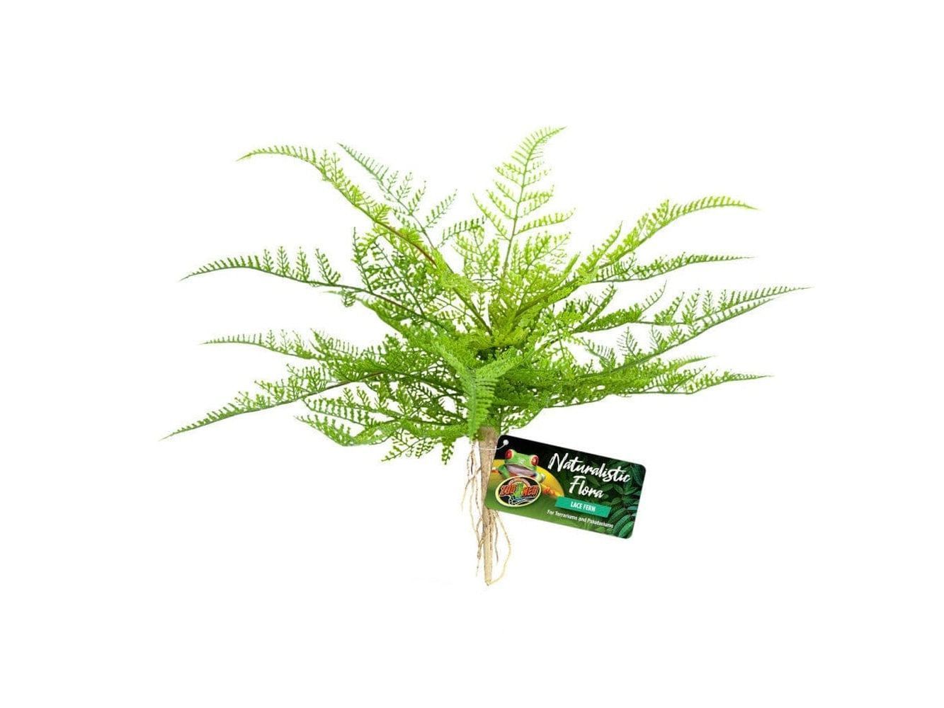 Zoo Med Naturalistic Flora Lace Fern Terrarium Plant Green, Tan, 1ea Animals & Pet Supplies > Pet Supplies > Fish Supplies Zoo Med