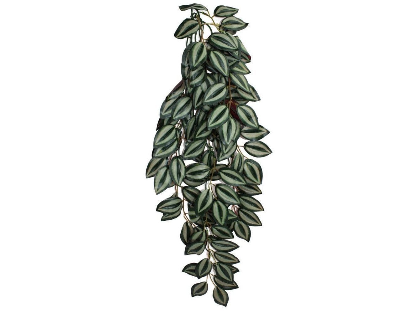 Komodo Zebrina Hanging Plant 1ea/LG, 26 in reptile supplies Komodo